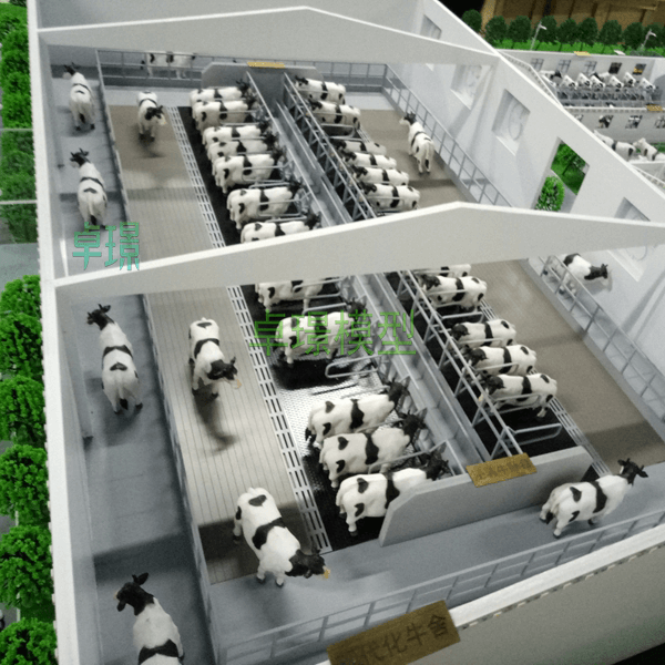 智慧养牛场j9九游会|(中文)亚游集团制作案例